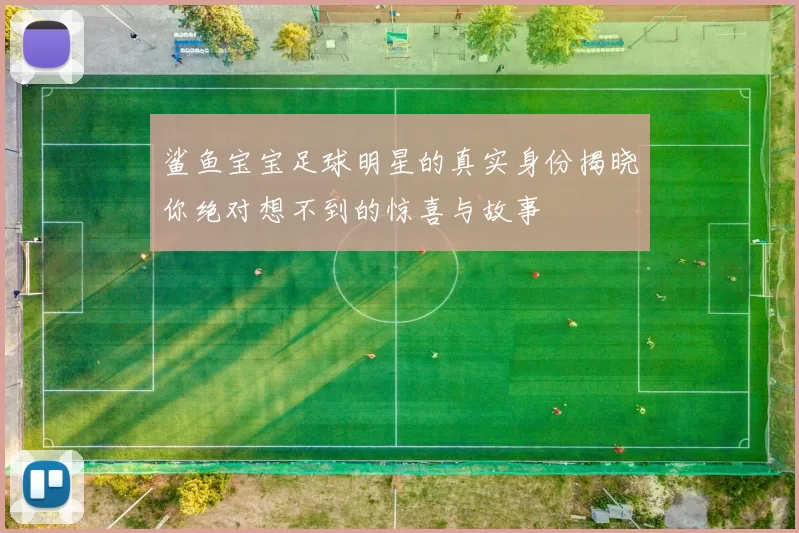 鲨鱼宝宝足球明星的真实身份揭晓你绝对想不到的惊喜与故事