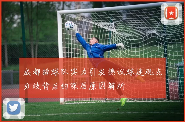 成都排球队实力引发热议球迷观点分歧背后的深层原因解析