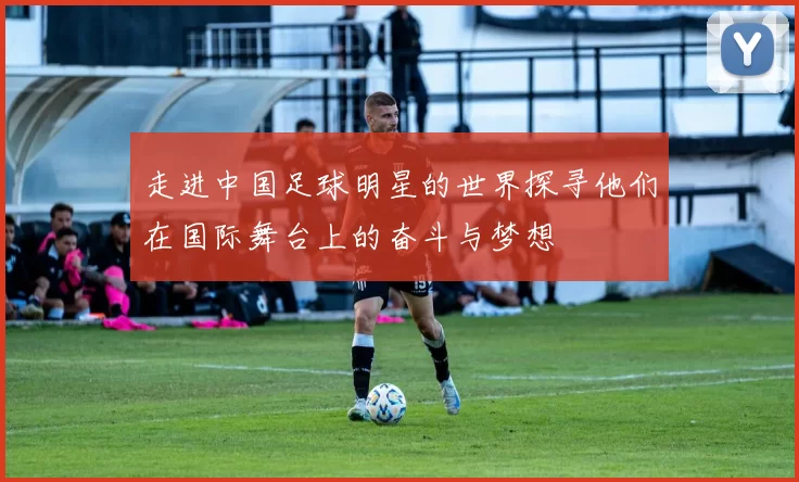 走进中国足球明星的世界探寻他们在国际舞台上的奋斗与梦想