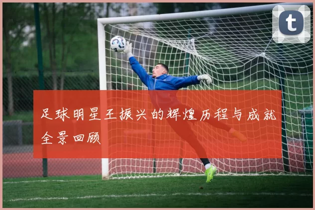 足球明星王振兴的辉煌历程与成就全景回顾