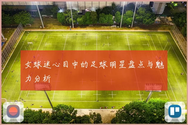 女球迷心目中的足球明星盘点与魅力分析