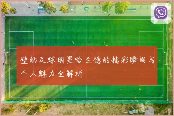 壁纸足球明星哈兰德的精彩瞬间与个人魅力全解析