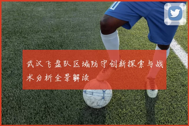 武汉飞盘队区域防守创新探索与战术分析全景解读