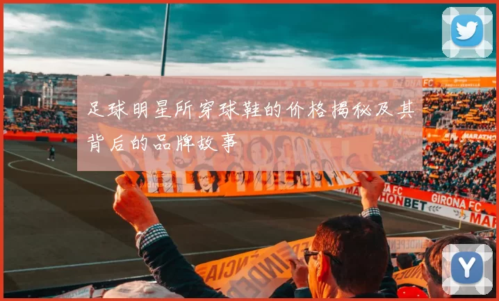 足球明星所穿球鞋的价格揭秘及其背后的品牌故事