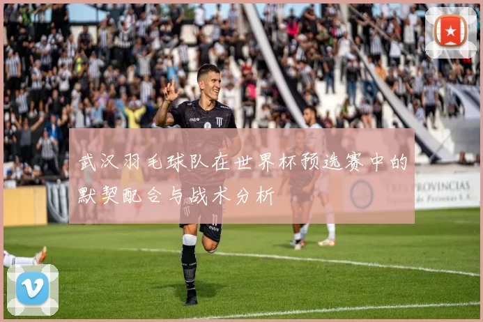 武汉羽毛球队在世界杯预选赛中的默契配合与战术分析