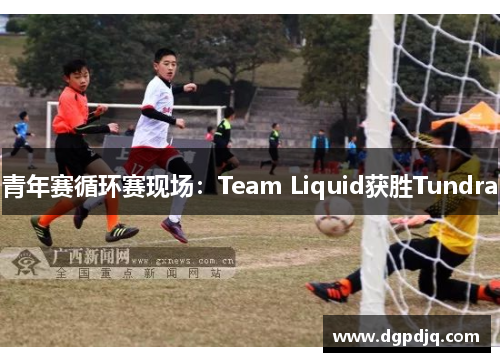 青年赛循环赛现场：Team Liquid获胜Tundra